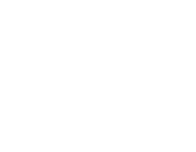 Logo Lyon Montgolfière